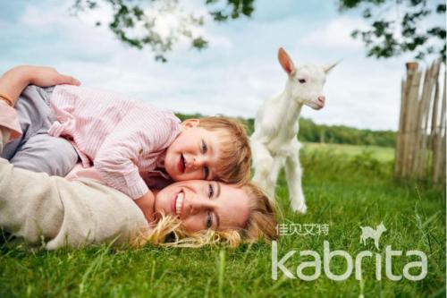 佳贝艾特羊奶粉与山羊奶粉哪个好,佳贝艾特和可瑞康羊奶粉哪个好