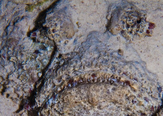 海底你不知道的东西,海底世界东海龙宫