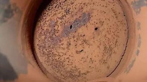 注意保护你的爱车没准已经被盯上,注意你的汽车正在泄露你的行踪