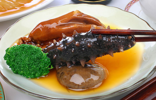 海参燕窝鱼翅人参,海参燕窝人参鹿茸