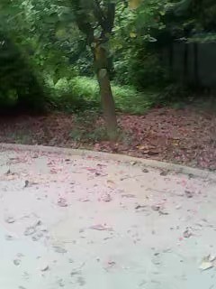 手机免费修复老照片软件,老照片扫描到手机