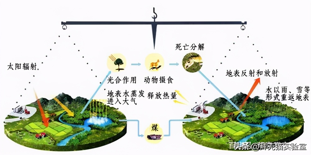 自制60天自动浇花器好看又美观,怎么用医用输液管自制浇花器