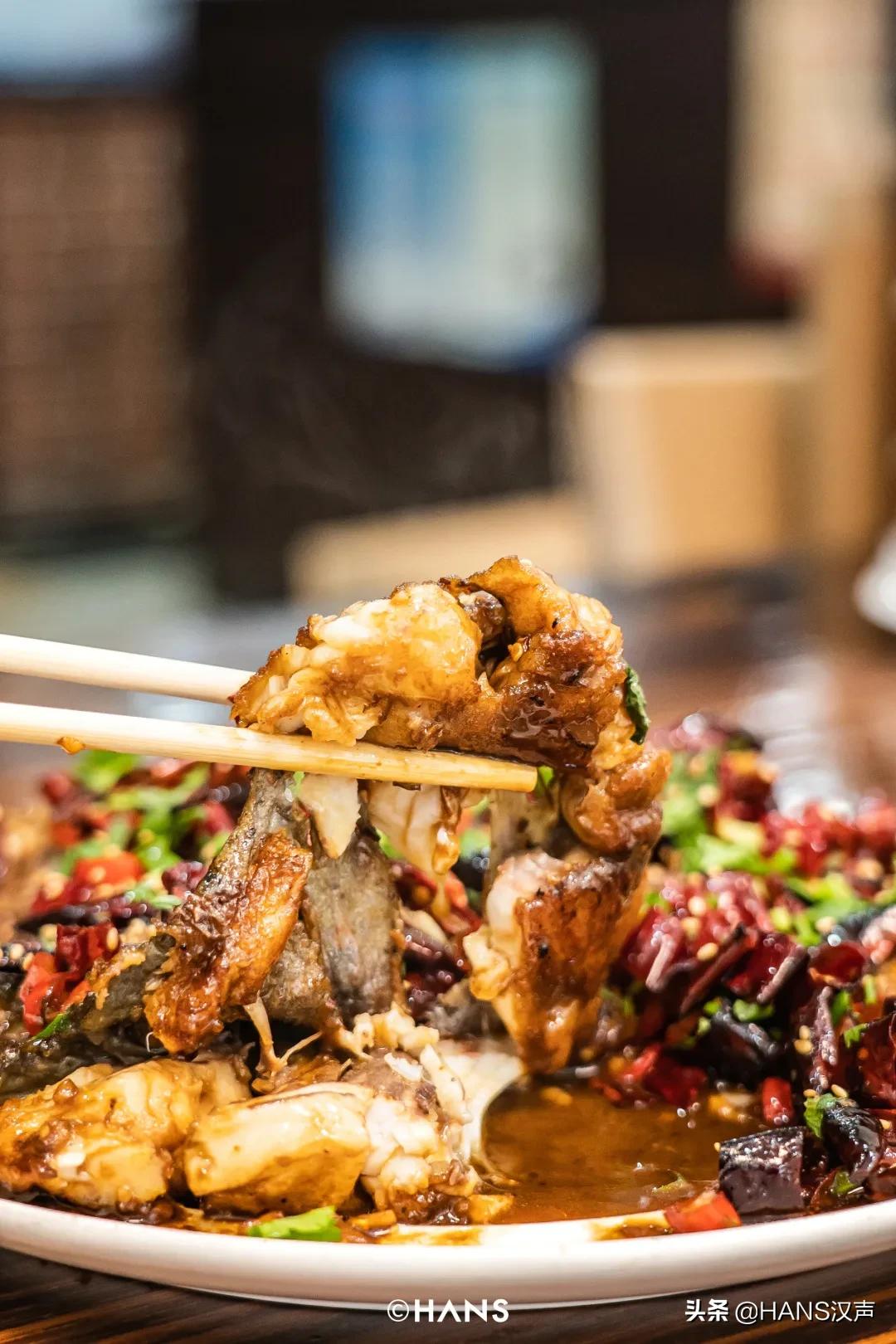 天元邓刚在湖北枣阳钓鱼的视频,武汉天元邓刚视频