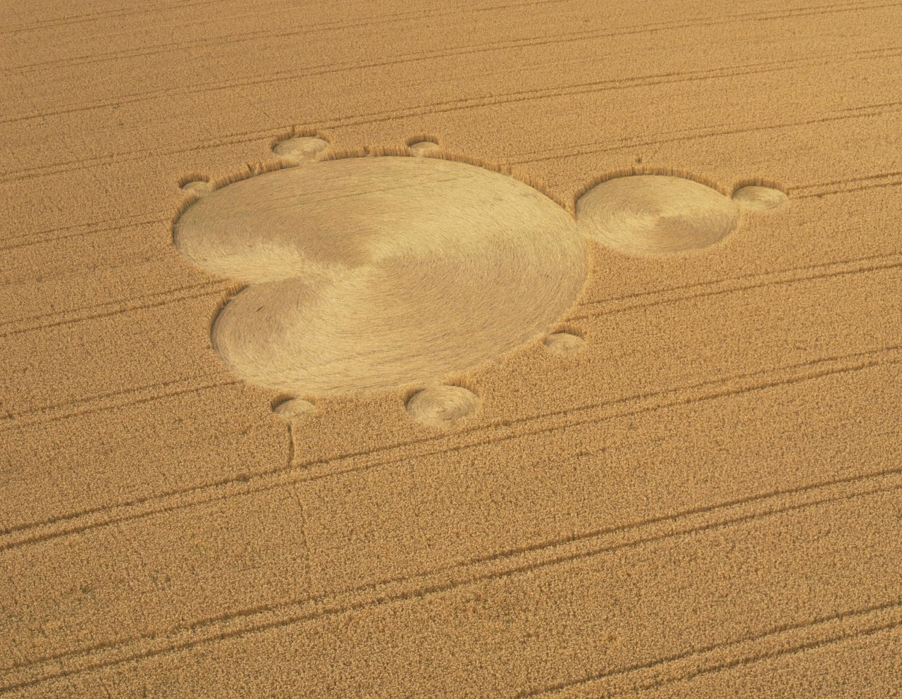 你好李焕英脱发,你好李焕英秃顶
