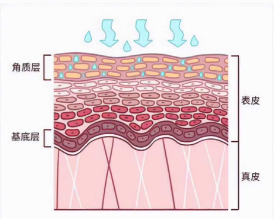 为什么都说面膜是智商税,面膜真的能补水还是智商税
