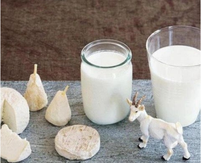 新风口大会推荐企业：志羊乳业告诉您羊奶不为人熟知的12种功效