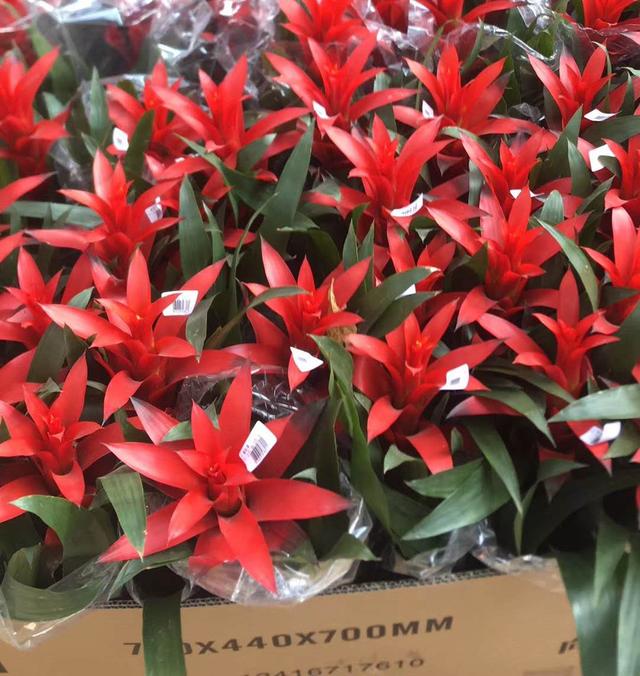 90后卖土特产年入百万,90后萌妹月入过万