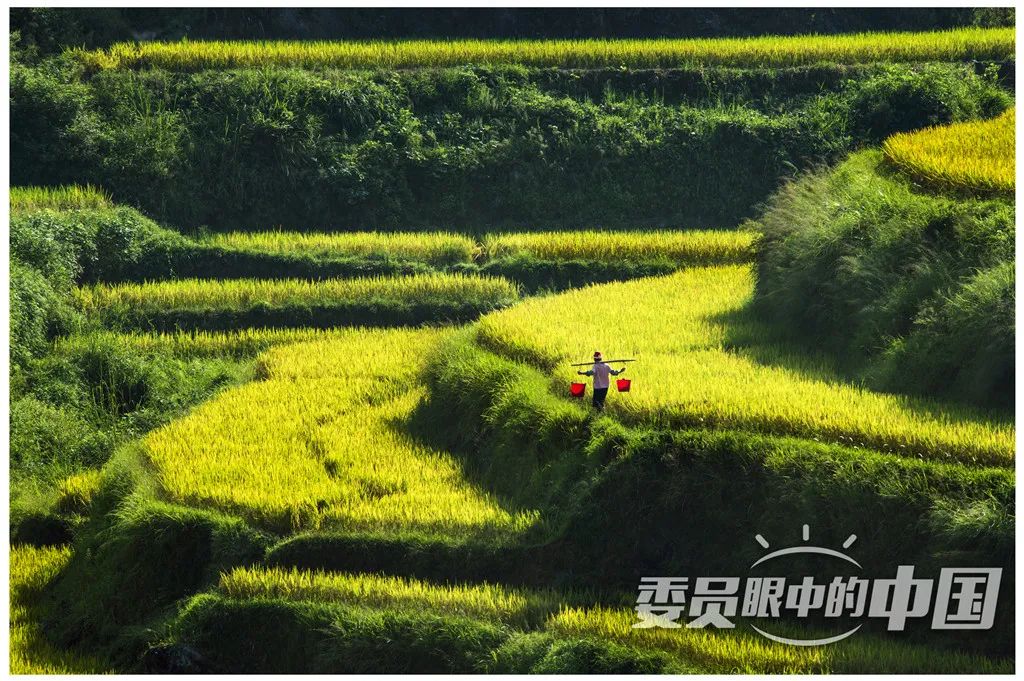 美丽中国中国篇,美丽中国双碳有我主题范文800字