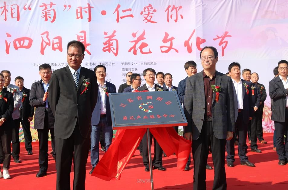 菊花展泗阳生态公园,开封通许39届菊花文化节开幕式