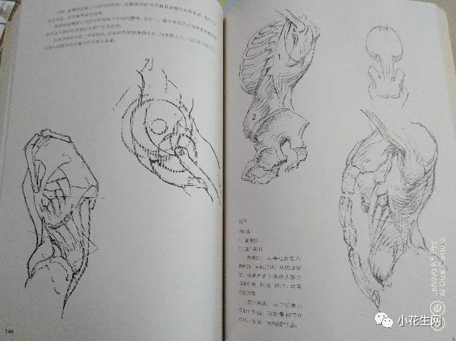 学画四年级上册美术,从零开始学绘画必备的画