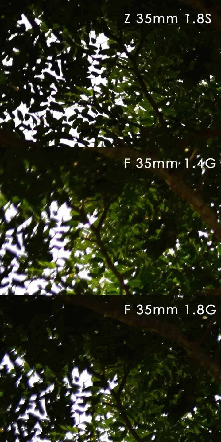 尼康35mmf1.4z卡口镜头质量如何,尼康z50配35mm1.8