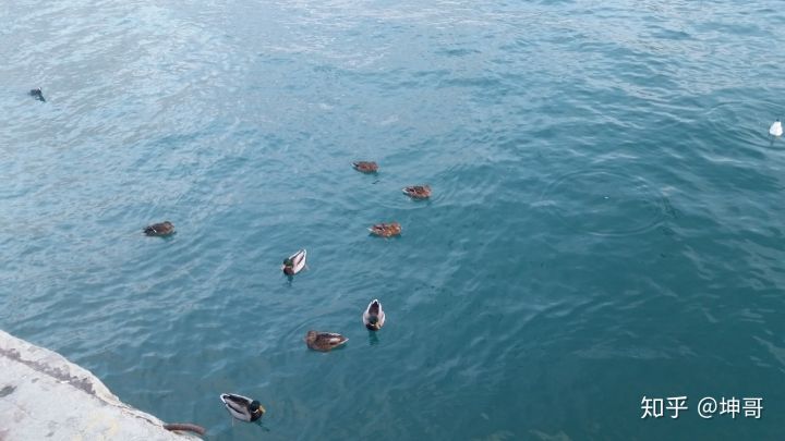 俄罗斯人的真实生活是什么样的,俄罗斯是个怎样的国家