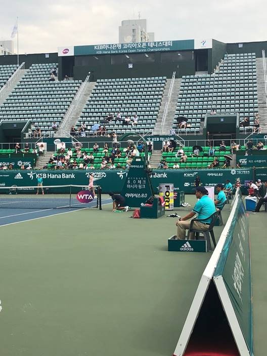 网球场上的十大规则,网球详细规则介绍