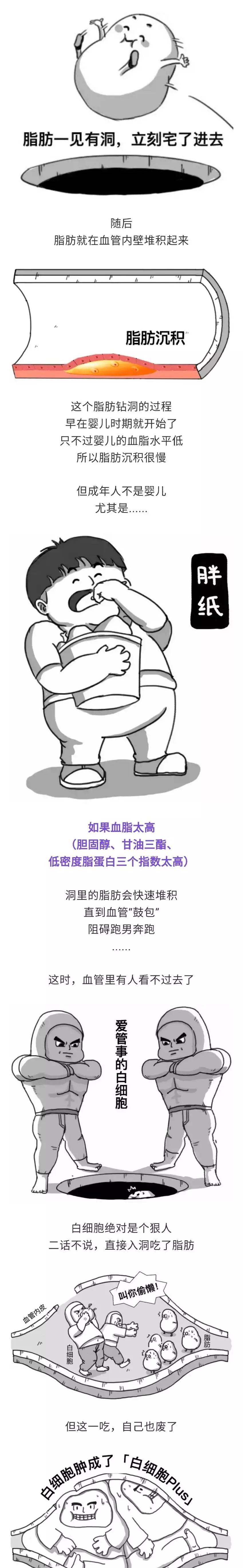 「民间偏方奇效方」高脂血症