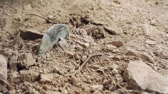 好想知道，黑人和穆斯林，与我们的中华民族是一种什么关系呢？