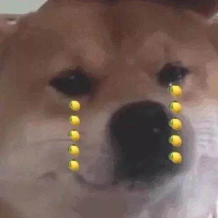 我在幼儿园当门卫,我是一名保安爱吃小熊饼干全文