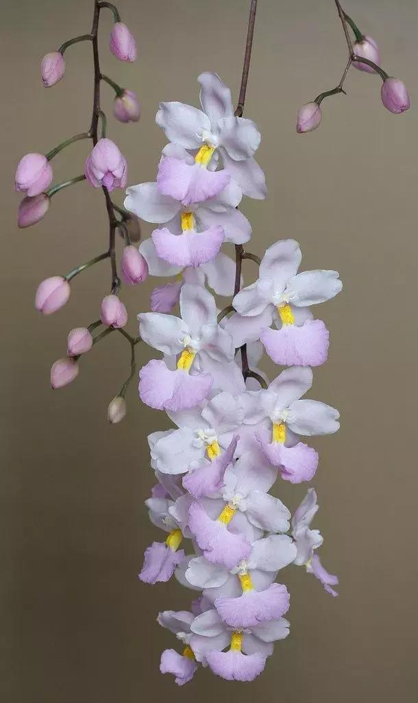 涨姿势为什么叫涨知识,涨姿势怎么解释