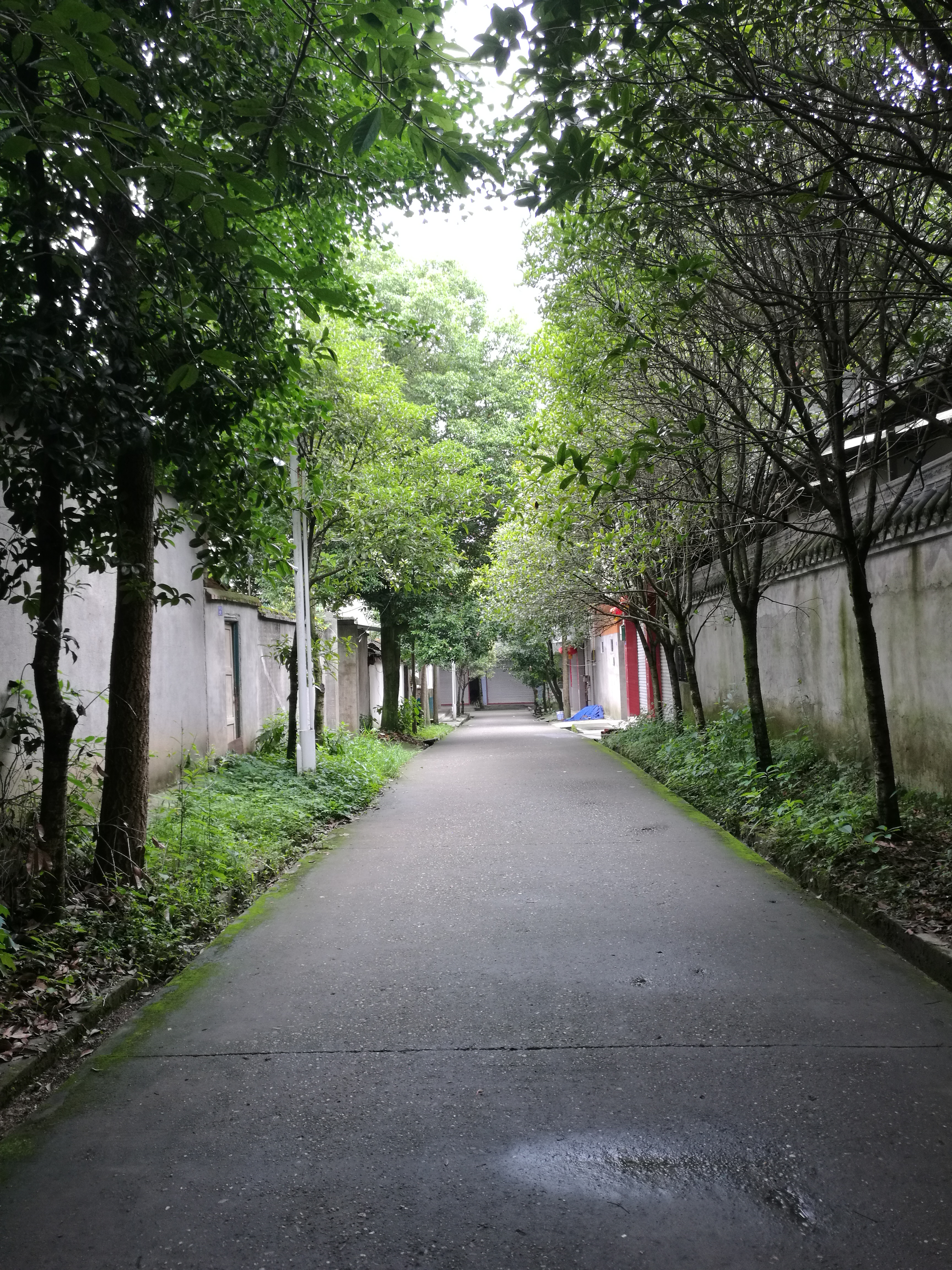 夏天去青城山避暑好吗,夏天周末青城山避暑玩水