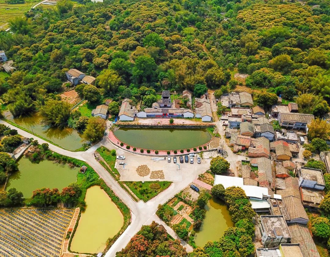 “惠阳八景”视频上线，快来感受将军故里新风采！