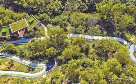 鲁能泰山9号叠墅,鲁能泰山9号苏州样板间