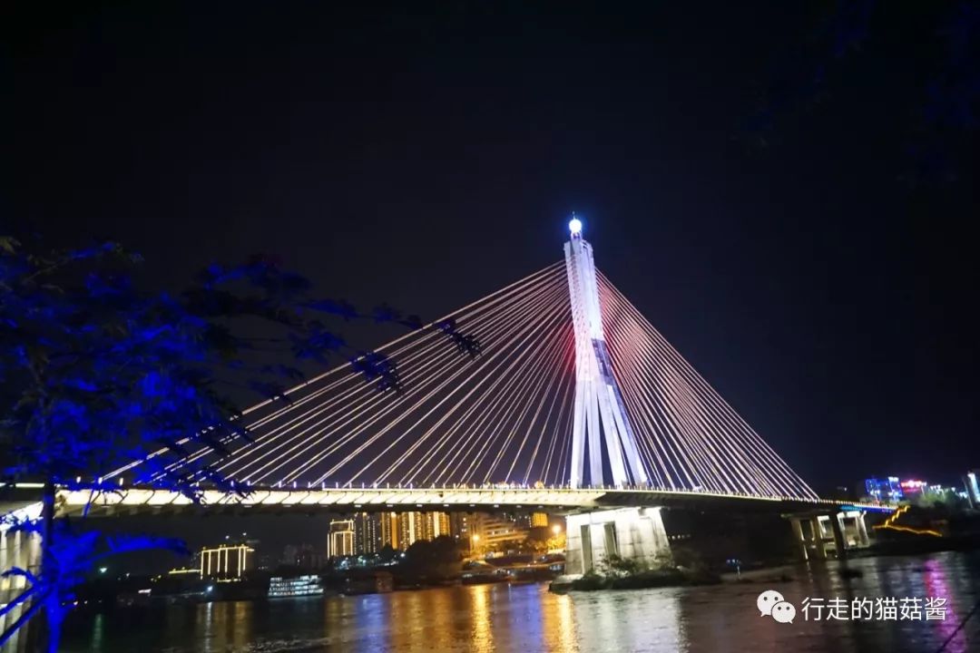 西双版纳值得体验的娱乐,云南西双版纳旅游全攻略美食推荐