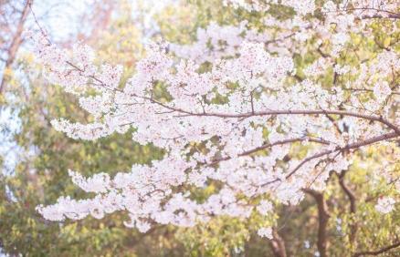 昆明适合拍照的景点有哪些,昆明大理周边旅游景点排名榜前十
