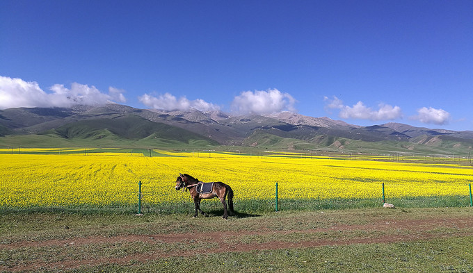 八千里路云和月风景,自驾看世界八千里路云和月滇之旅