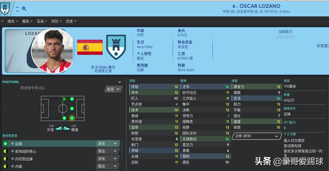 fm足球经理实力球员排名,fm2020足球经理
