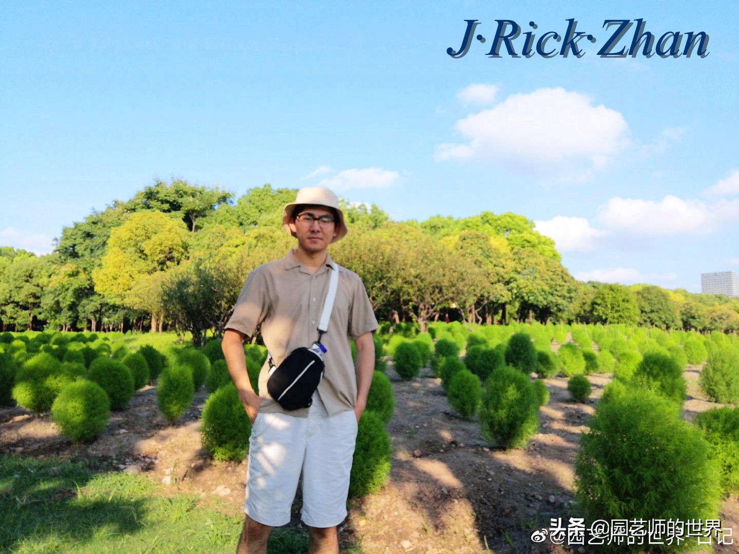 红色地肤草的种植方法,红地肤怎么养