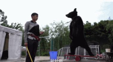 印尼富二代吃鳄鱼包,印尼富二代人骨包