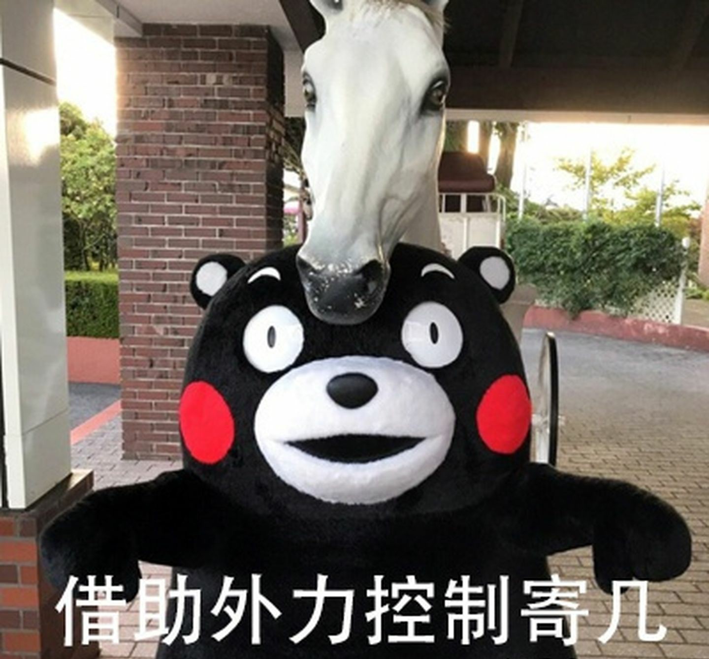 失眠的时候如何快速入睡,失眠的时候怎么才能快速入睡