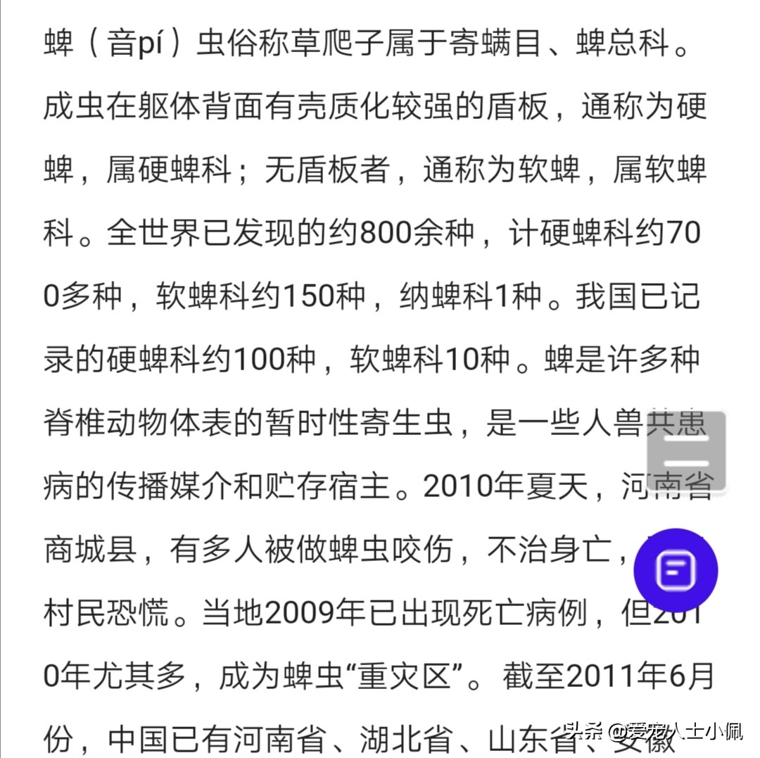 狗狗身上的蜱虫放大后是什么样,狗狗身上蜱虫用花露水能去除吗