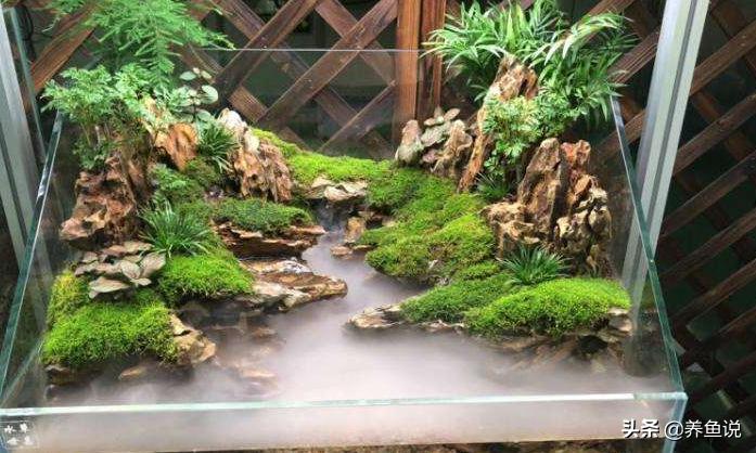 鱼缸内壁滑滑的要不要清理,鱼缸里的脏东西如何快速过滤