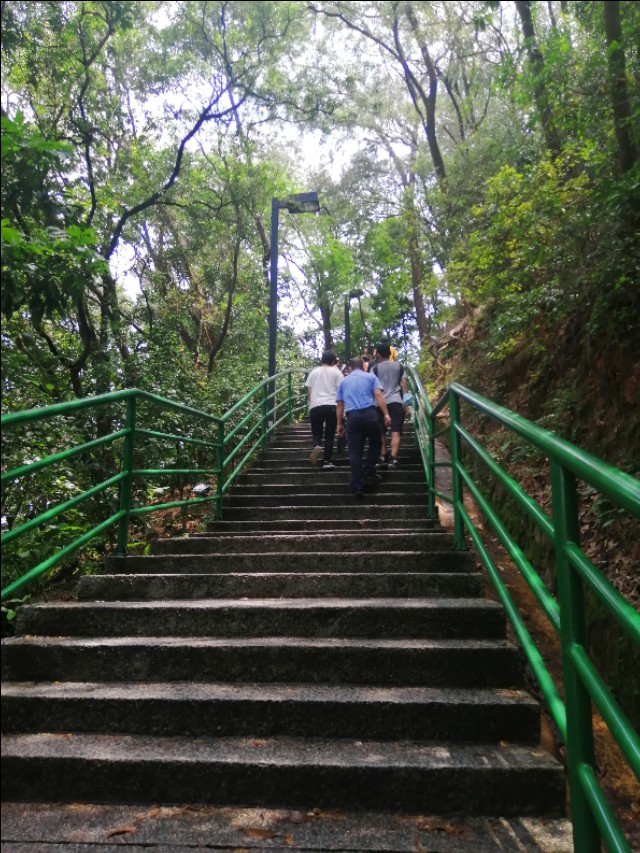 东莞旗峰公园掠影,东莞旗峰公园大体俯视图片