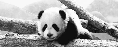 熬夜黑眼圈和肾虚黑眼圈一样吗,黑眼圈是肾虚还是熬夜导致