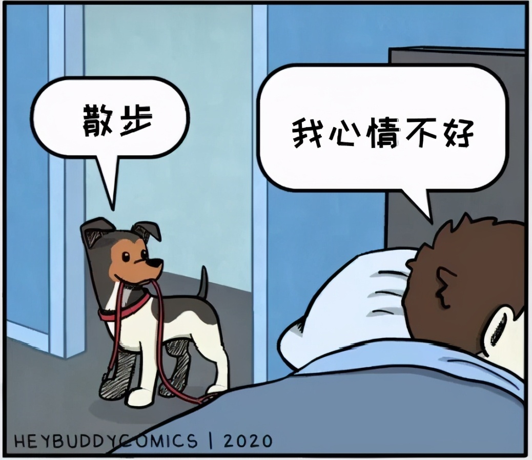 猫和铲屎官漫画全集,铲屎官和狗子的漫画