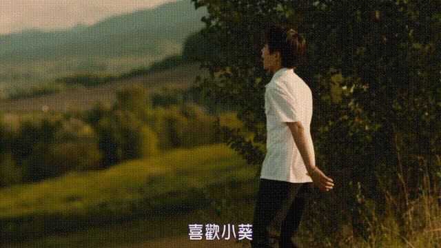 我们耗了一整个平成终于在一起日本爱情电影《线》