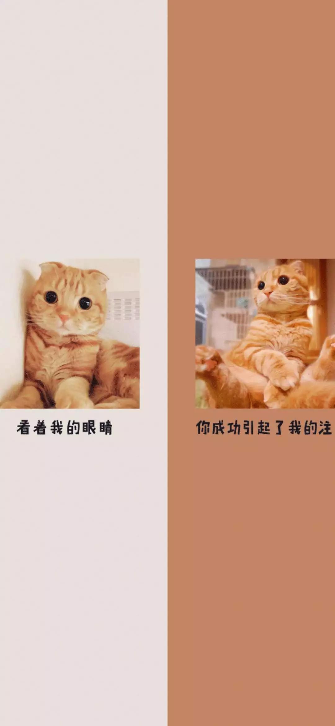 聊天背景图爱情分开,一人一半感情不散