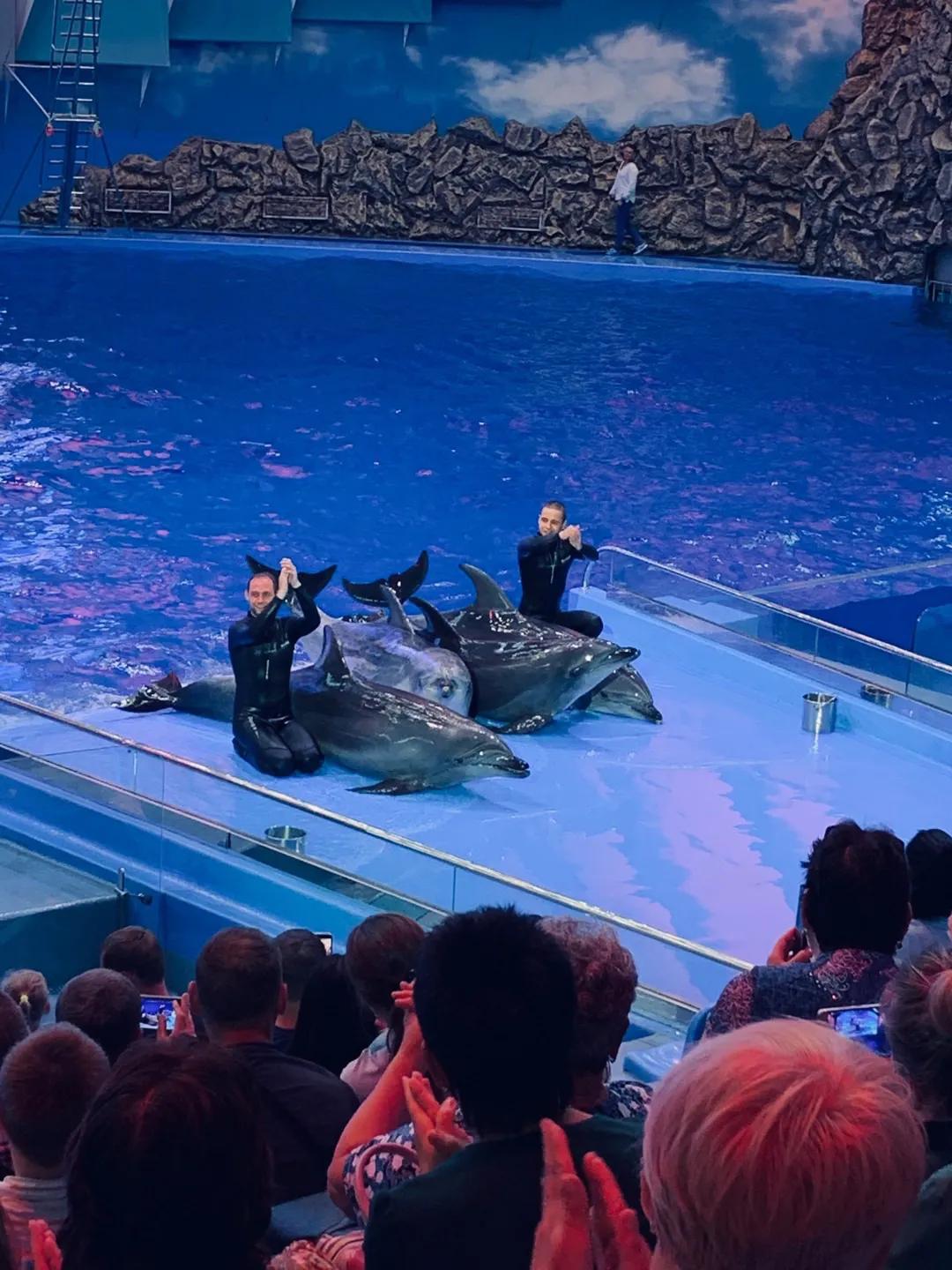 海参崴艺术表演,海参崴歌舞表演与风情表演的区别