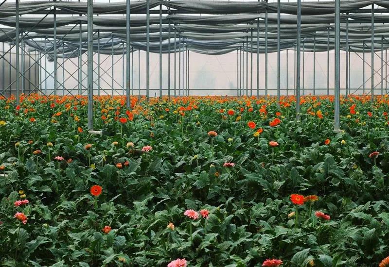 自制温室大棚取暖炉,种植大棚专用取暖炉