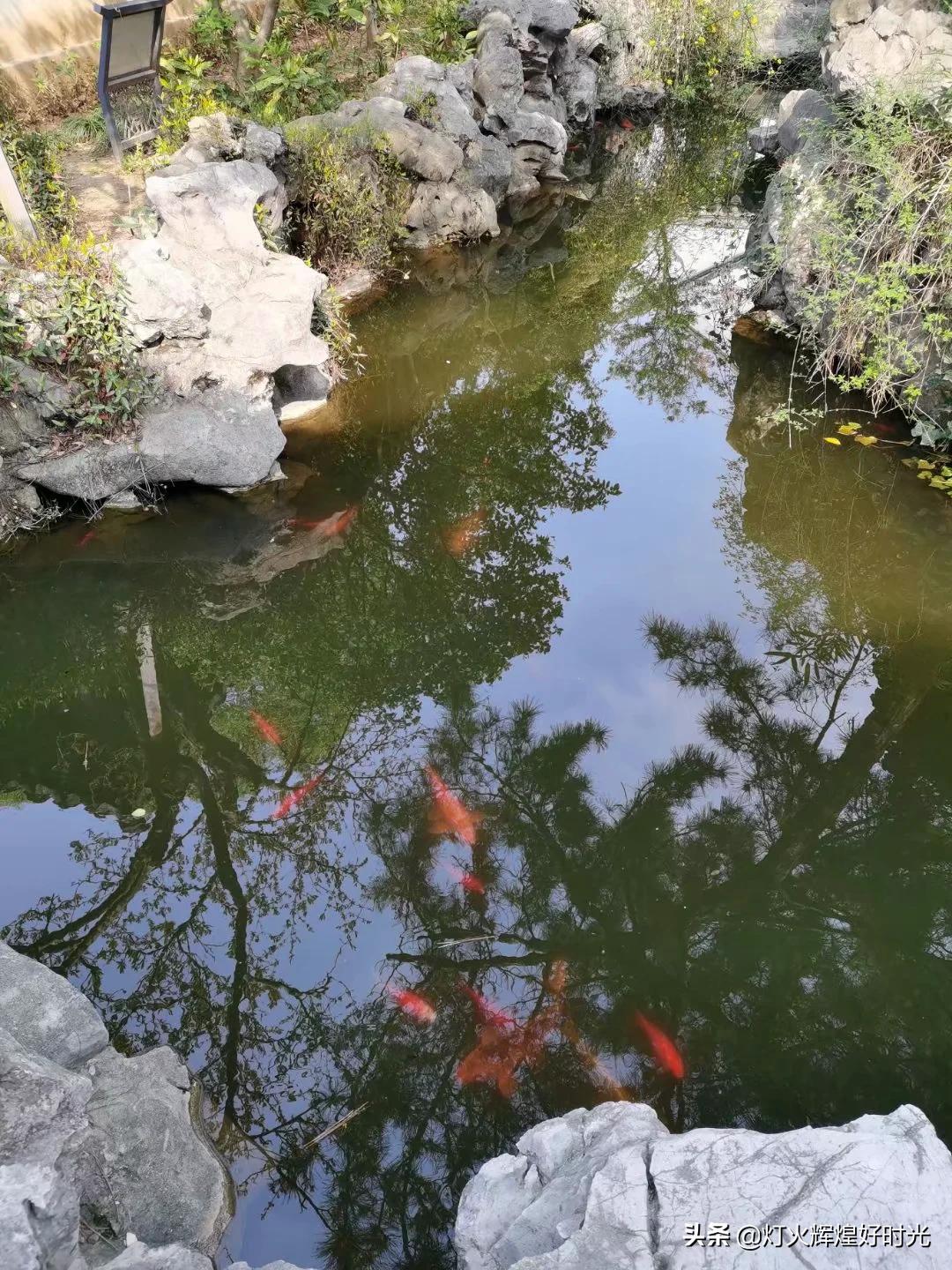 木渎古镇的园林值得一看吗,参观木渎古镇江南园林庭院