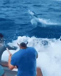 贾玲在沙发上翘二郎腿搞笑图片,贾玲跷二郎腿动图下载