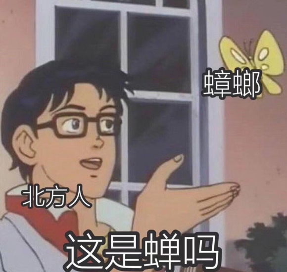 南方蟑螂,广东蟑螂很担心你是什么梗
