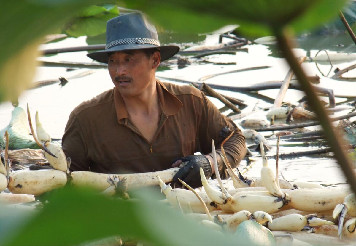 秋天养生最好方法,冬天秋天养生方法