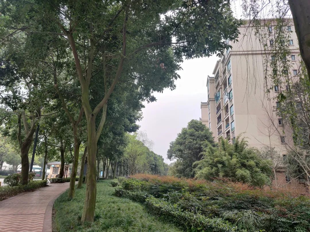 它用14年时间,造就了天府新区第一“孤城”