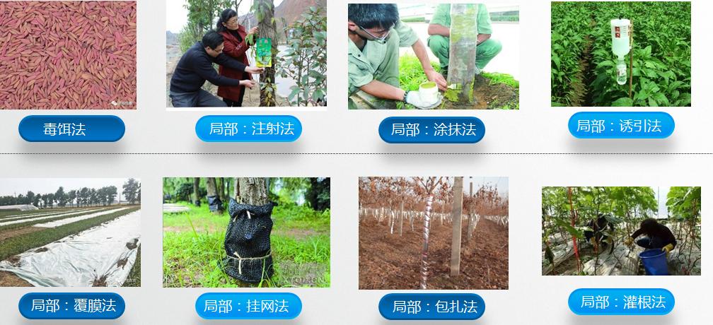 农药基础知识有哪些,农药基础知识普及