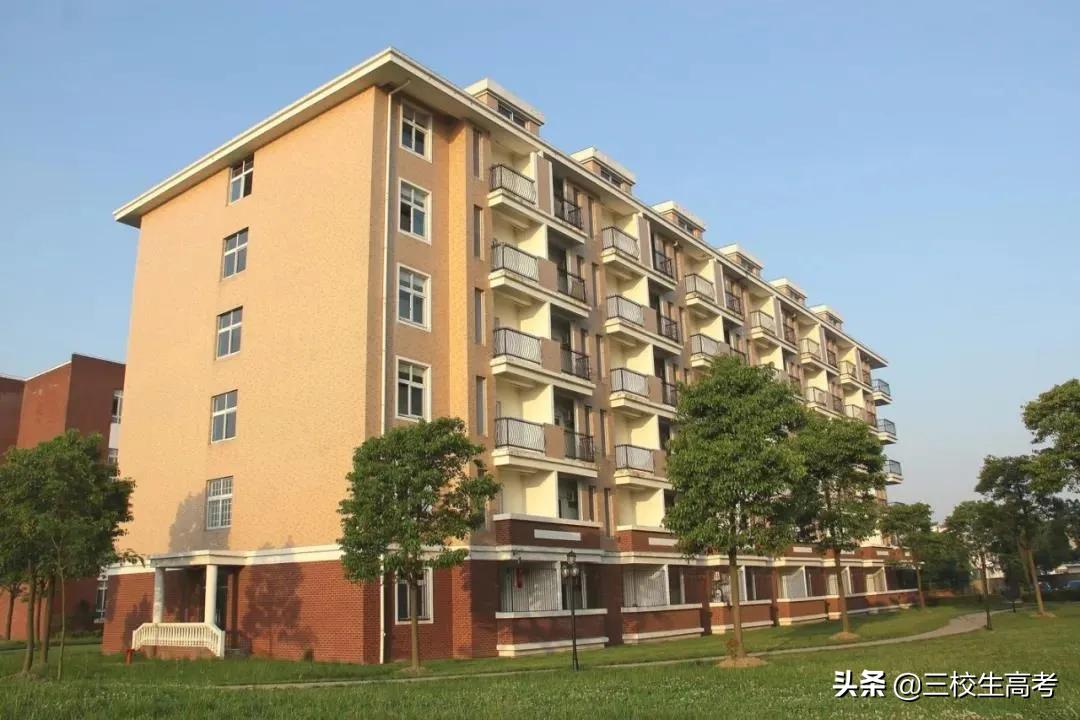 上海立达专升本报名条件,立达学院游学