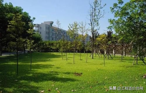 园林苗木工程造价综述