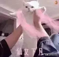 敷面膜一定要敷15分钟吗,敷完面膜很白过一阵就不白了