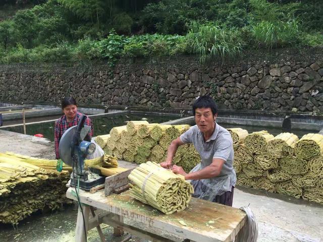 双11最“奇葩”卖家：200元一桶求童子尿，背后深藏感人故事